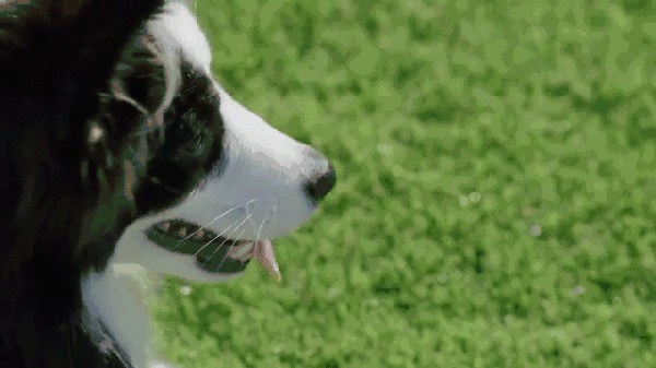 2017年＊流行，是時候給你點綠色瞧瞧了～